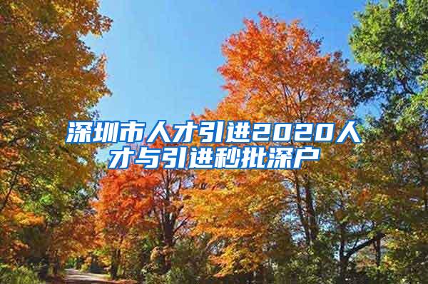 深圳市人才引进2020人才与引进秒批深户