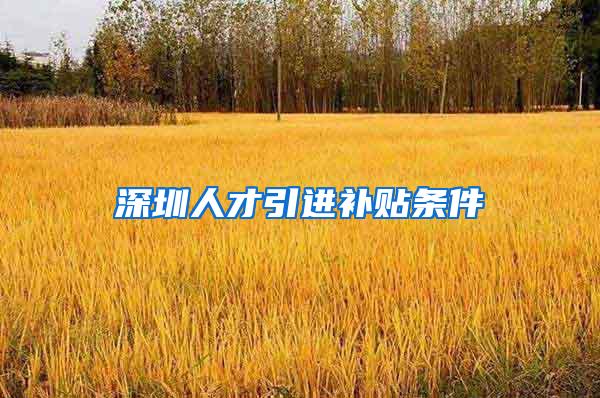 深圳人才引进补贴条件
