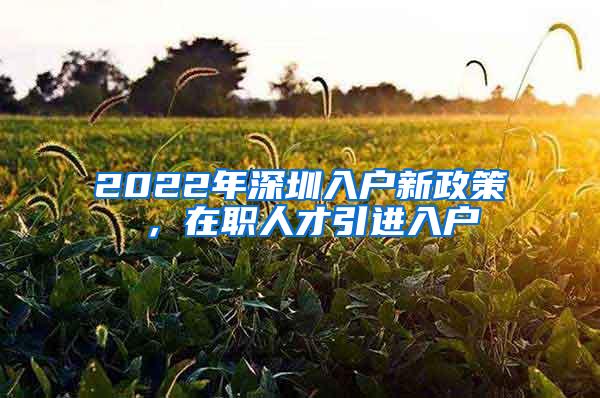 2022年深圳入户新政策 ，在职人才引进入户