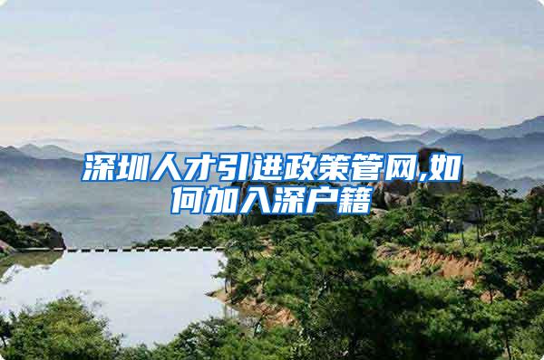 深圳人才引进政策管网,如何加入深户籍