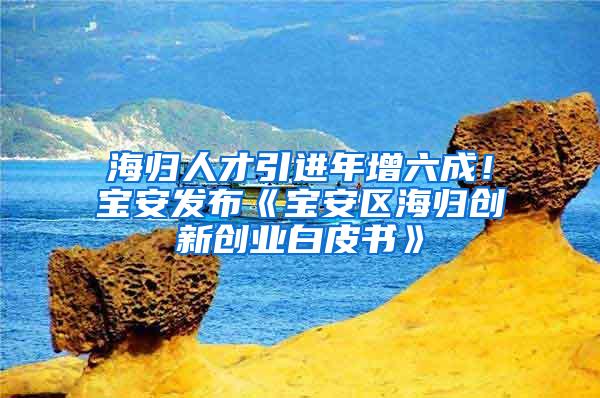 海归人才引进年增六成！宝安发布《宝安区海归创新创业白皮书》