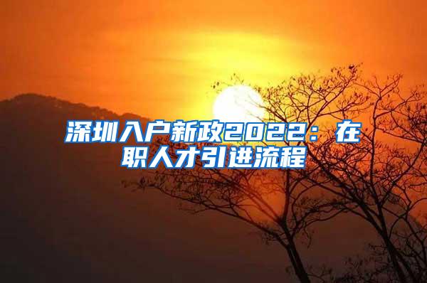 深圳入户新政2022：在职人才引进流程