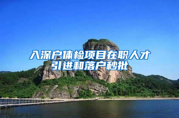 入深户体检项目在职人才引进和落户秒批