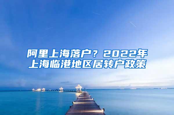 阿里上海落户？2022年上海临港地区居转户政策