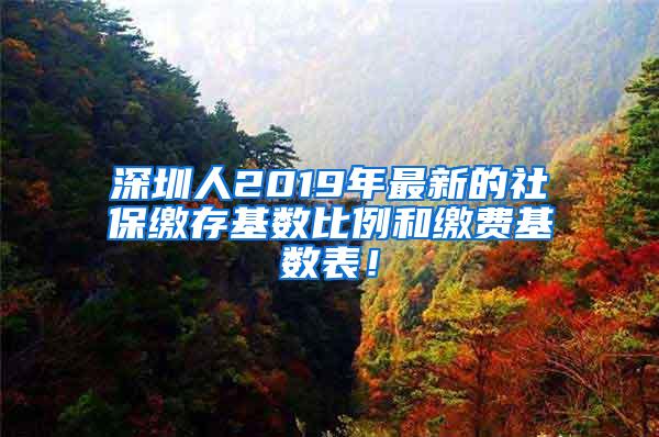 深圳人2019年最新的社保缴存基数比例和缴费基数表！