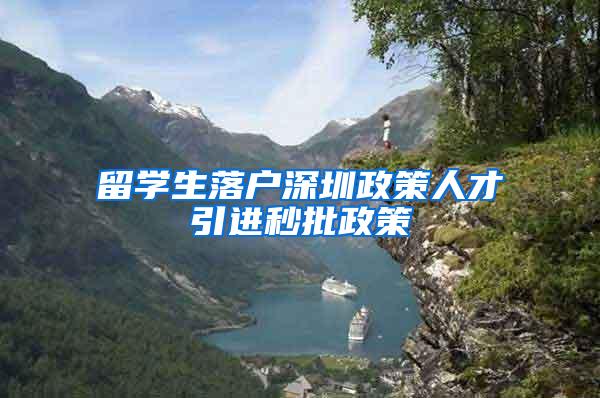 留学生落户深圳政策人才引进秒批政策