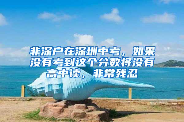 非深户在深圳中考，如果没有考到这个分数将没有高中读，非常残忍