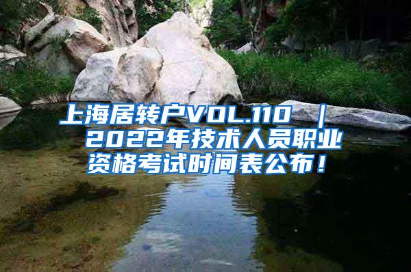 上海居转户VOL.110 ｜  2022年技术人员职业资格考试时间表公布！