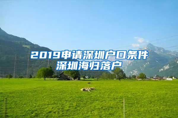 2019申请深圳户口条件深圳海归落户