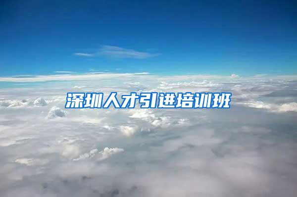深圳人才引进培训班