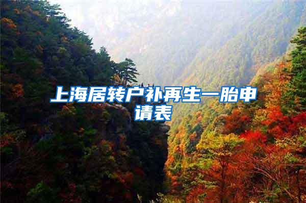 上海居转户补再生一胎申请表