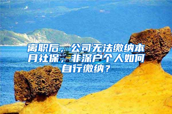 离职后，公司无法缴纳本月社保，非深户个人如何自行缴纳？