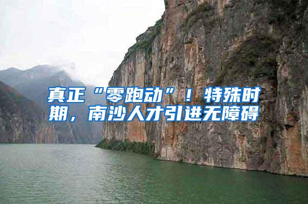 真正“零跑动”！特殊时期，南沙人才引进无障碍