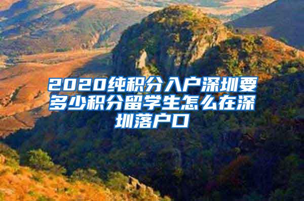 2020纯积分入户深圳要多少积分留学生怎么在深圳落户口