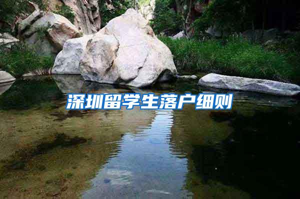 深圳留学生落户细则