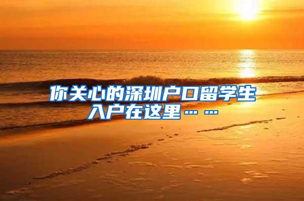 你关心的深圳户口留学生入户在这里……