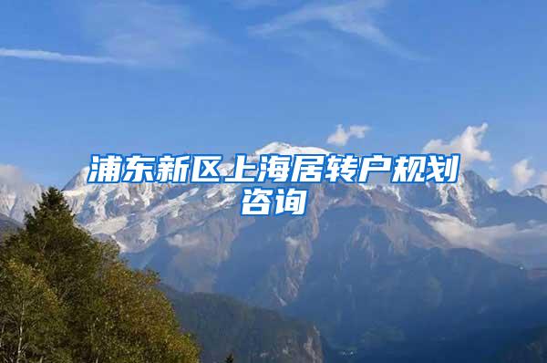 浦东新区上海居转户规划咨询