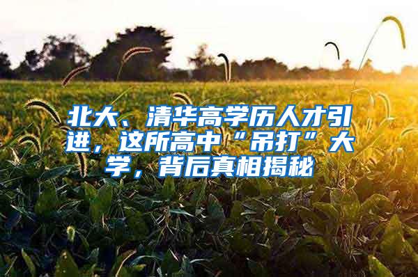 北大、清华高学历人才引进，这所高中“吊打”大学，背后真相揭秘