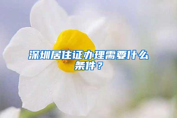 深圳居住证办理需要什么条件？