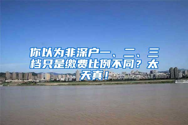 你以为非深户一、二、三档只是缴费比例不同？太天真！