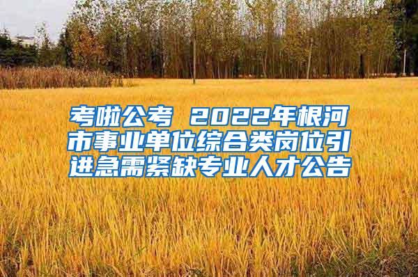 考啦公考 2022年根河市事业单位综合类岗位引进急需紧缺专业人才公告