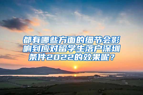 都有哪些方面的细节会影响到应对留学生落户深圳条件2022的效果呢？