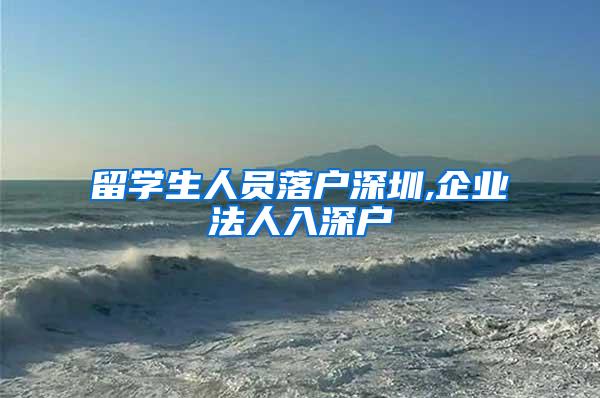 留学生人员落户深圳,企业法人入深户