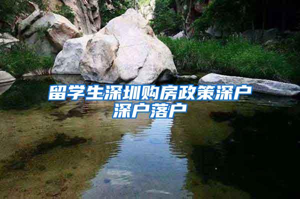 留学生深圳购房政策深户深户落户