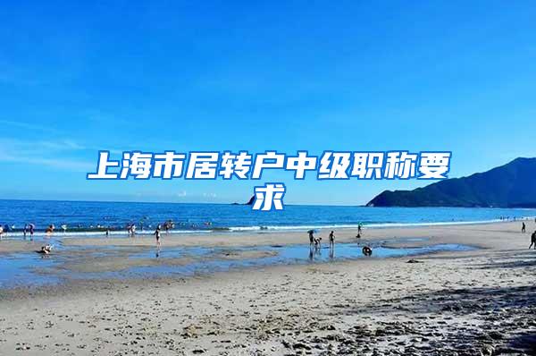 上海市居转户中级职称要求