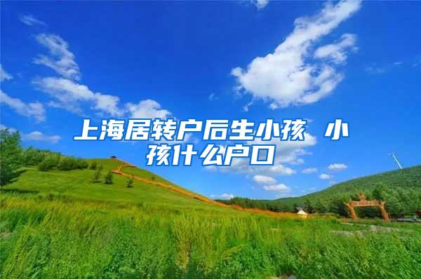 上海居转户后生小孩 小孩什么户口