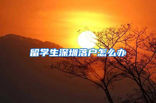 留学生深圳落户怎么办