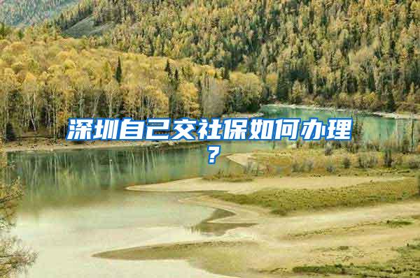 深圳自己交社保如何办理？