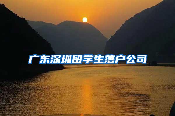 广东深圳留学生落户公司