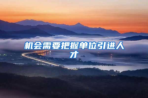机会需要把握单位引进人才