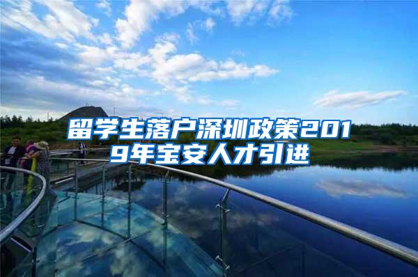 留学生落户深圳政策2019年宝安人才引进