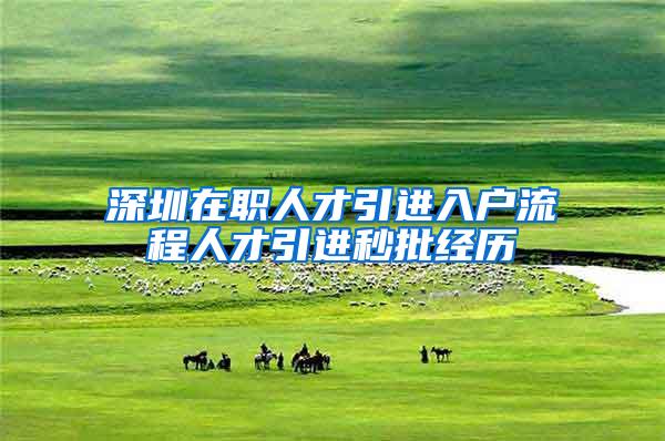 深圳在职人才引进入户流程人才引进秒批经历
