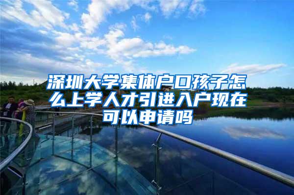 深圳大学集体户口孩子怎么上学人才引进入户现在可以申请吗