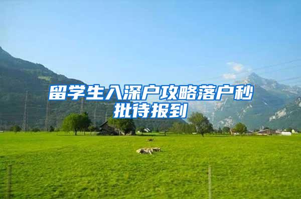 留学生入深户攻略落户秒批待报到