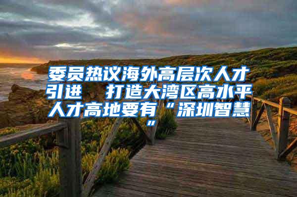 委员热议海外高层次人才引进  打造大湾区高水平人才高地要有“深圳智慧”