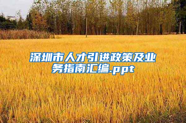 深圳市人才引进政策及业务指南汇编.ppt