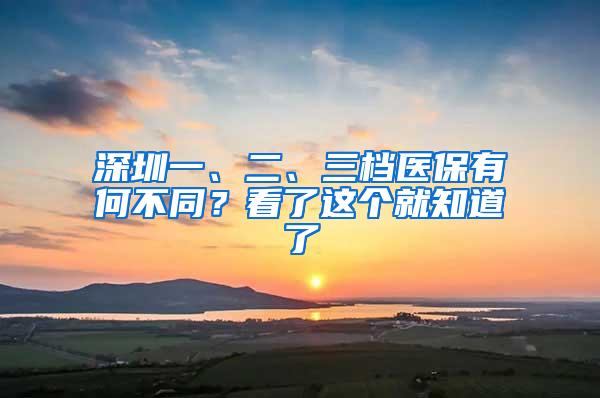 深圳一、二、三档医保有何不同？看了这个就知道了