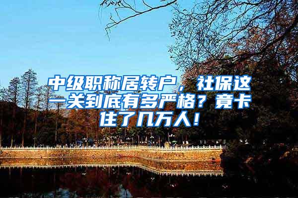 中级职称居转户，社保这一关到底有多严格？竟卡住了几万人！