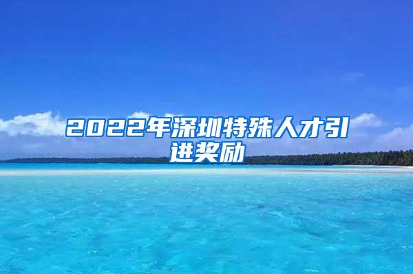2022年深圳特殊人才引进奖励