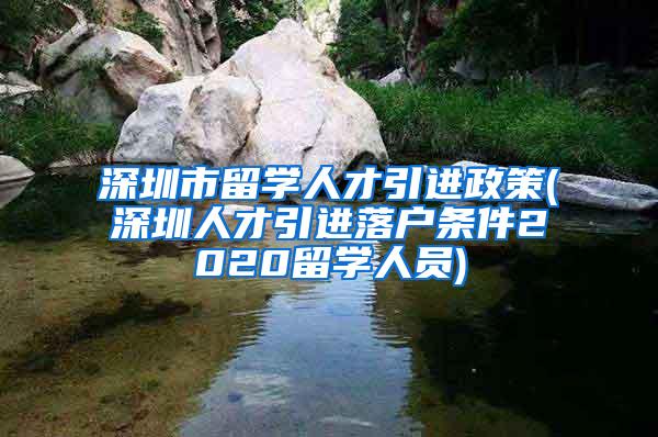 深圳市留学人才引进政策(深圳人才引进落户条件2020留学人员)