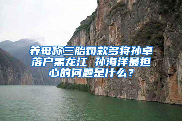 养母称三胎罚款多将孙卓落户黑龙江 孙海洋最担心的问题是什么？