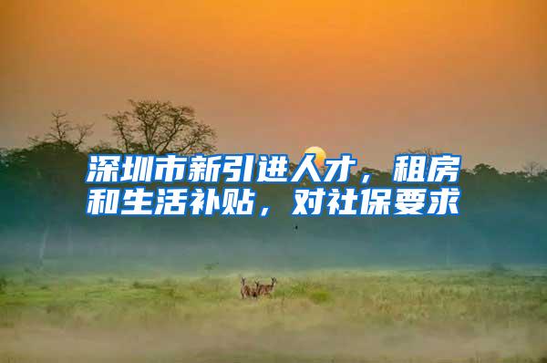 深圳市新引进人才，租房和生活补贴，对社保要求