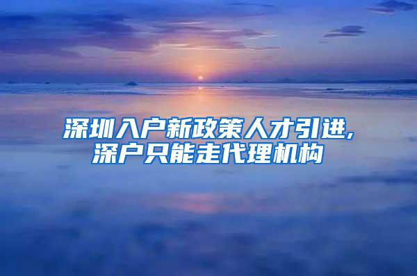 深圳入户新政策人才引进,深户只能走代理机构
