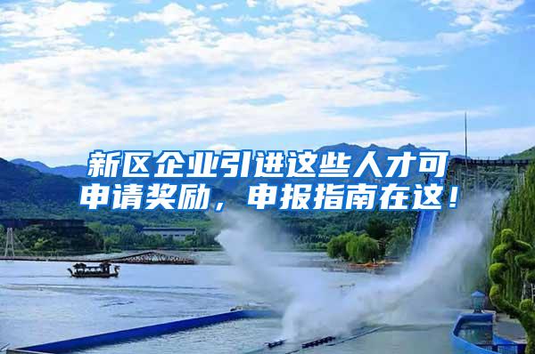 新区企业引进这些人才可申请奖励，申报指南在这！