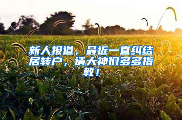 新人报道，最近一直纠结居转户，请大神们多多指教！