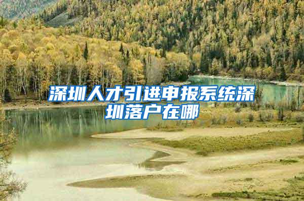深圳人才引进申报系统深圳落户在哪